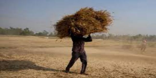 Buy wheat till may end, Center tells states