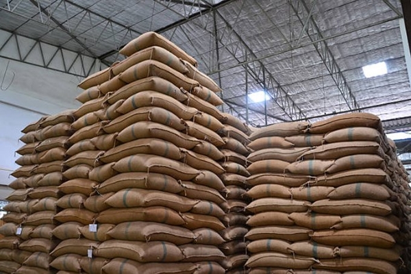 RIce Exports