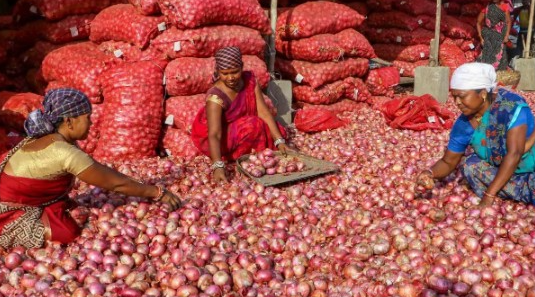 bans export of onions