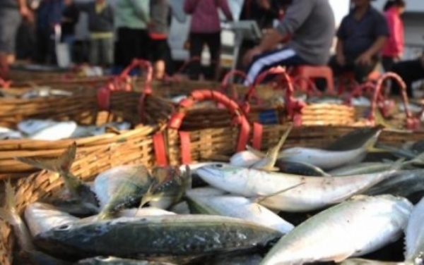 Seafood Exports