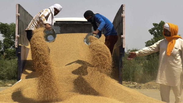 Wheat Ban